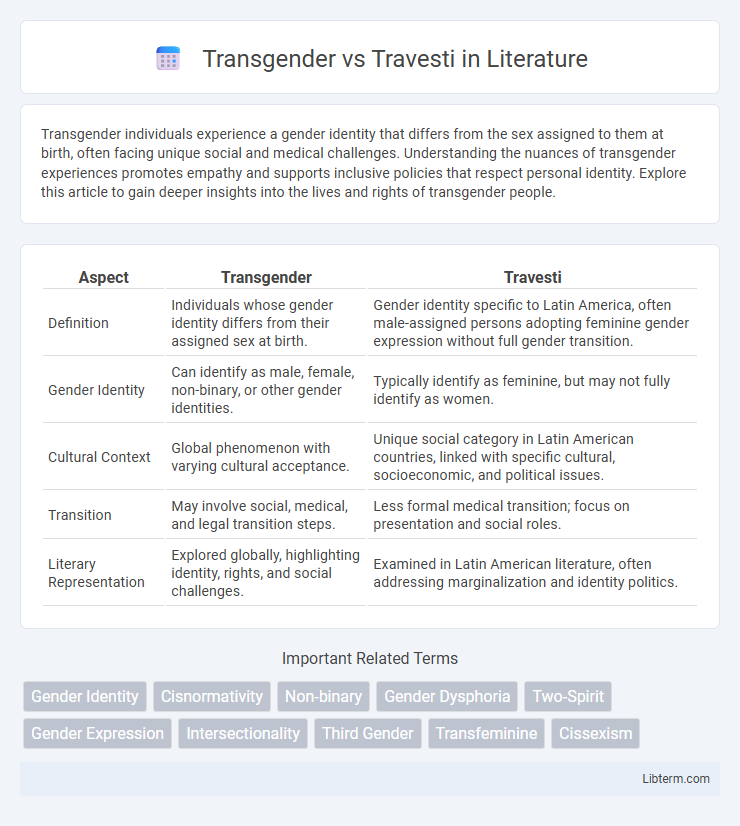 Travesti vs Transgender in Literature - What is The Difference?