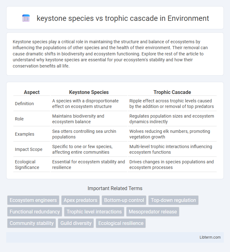 trophic cascade vs keystone species in Environment - What is The Difference?