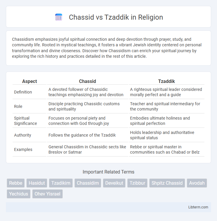 Tzaddik vs Chassid in Religion - What is The Difference?