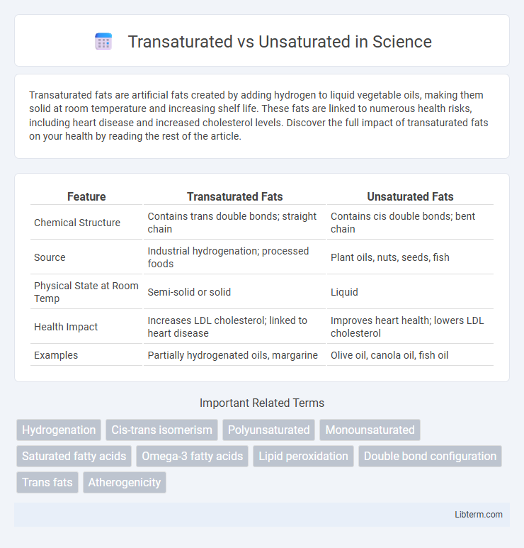 Unsaturated vs Transaturated in Science - What is The Difference?