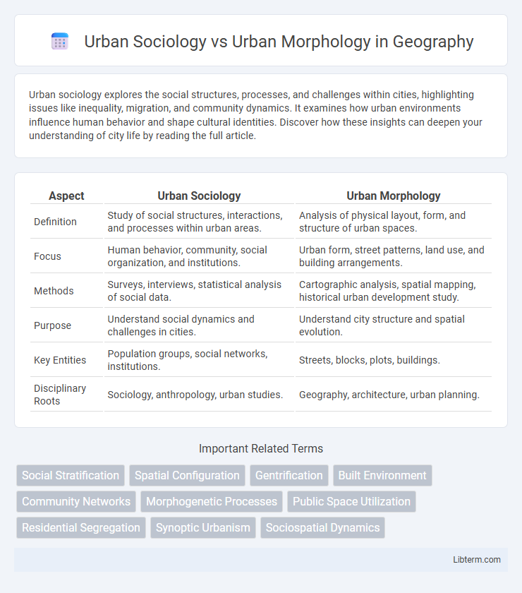 Urban Morphology vs Urban Sociology in Geography - What is The Difference?