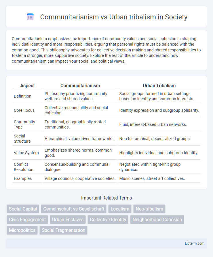 Urban tribalism vs Communitarianism in Society - What is The Difference?