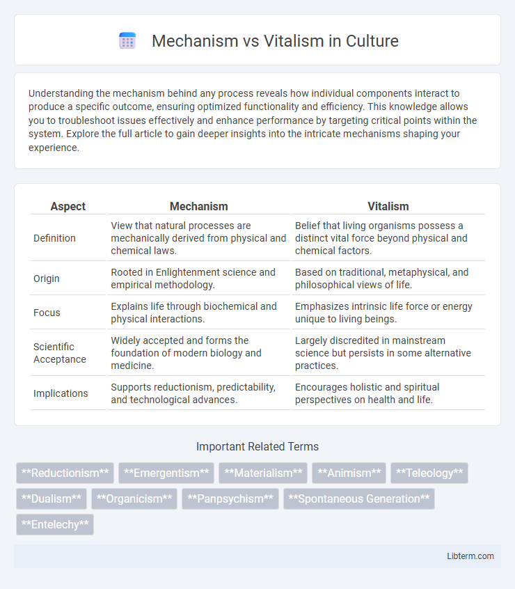 Vitalism vs Mechanism in Culture - What is The Difference?