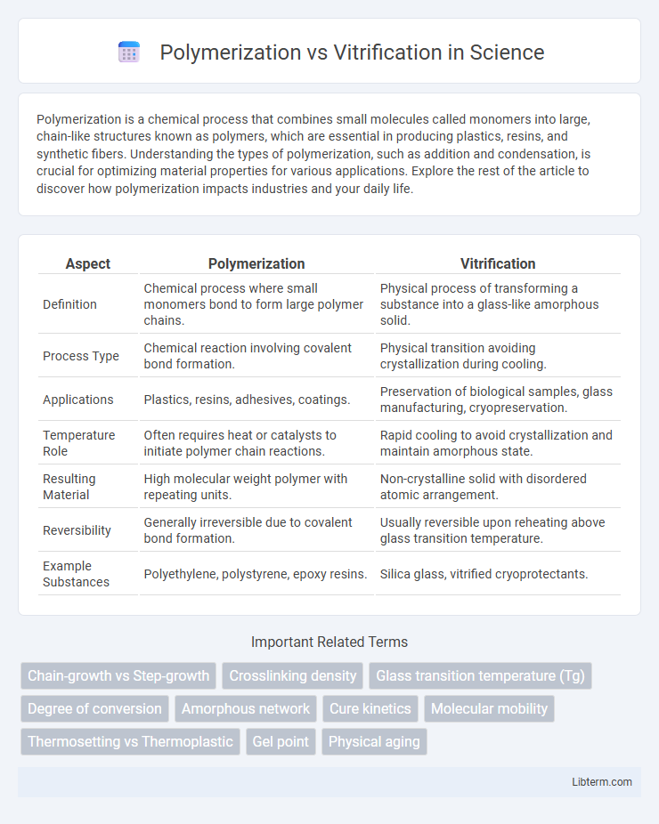 Vitrification vs Polymerization in Science - What is The Difference?