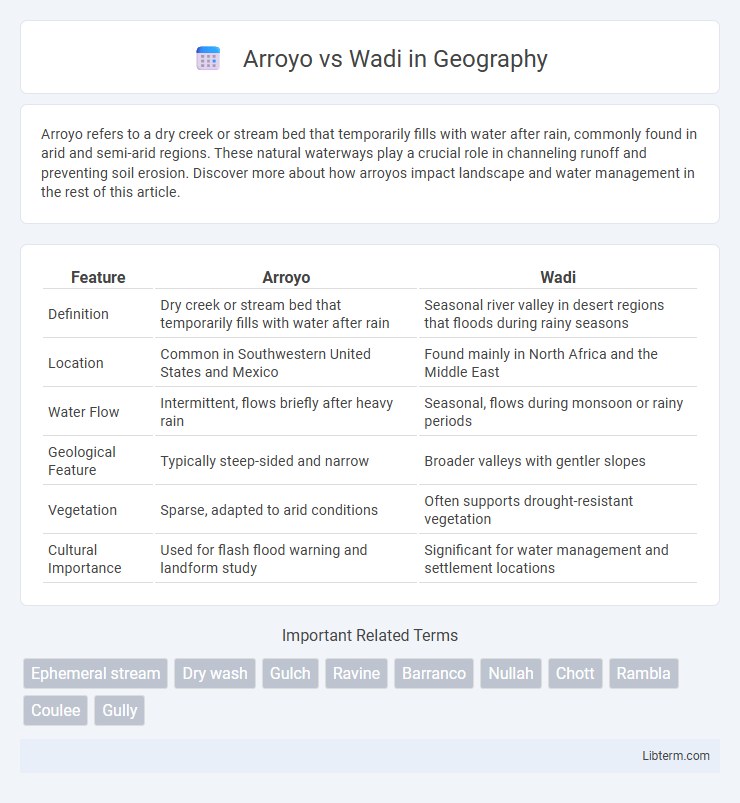 Wadi vs Arroyo in Geography - What is The Difference?