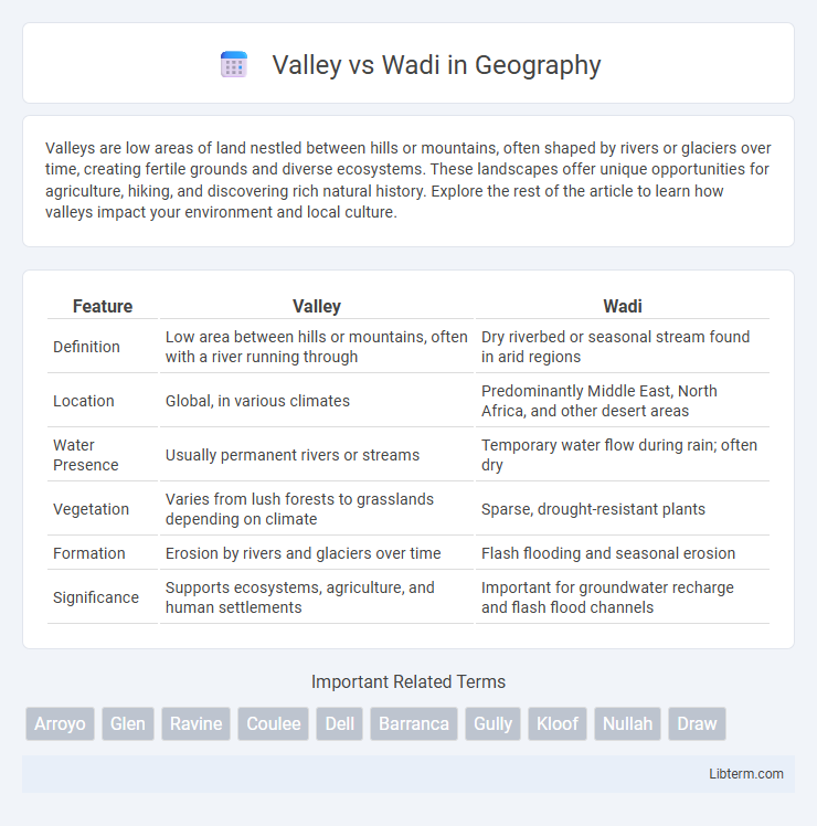 Wadi vs Valley in Geography - What is The Difference?
