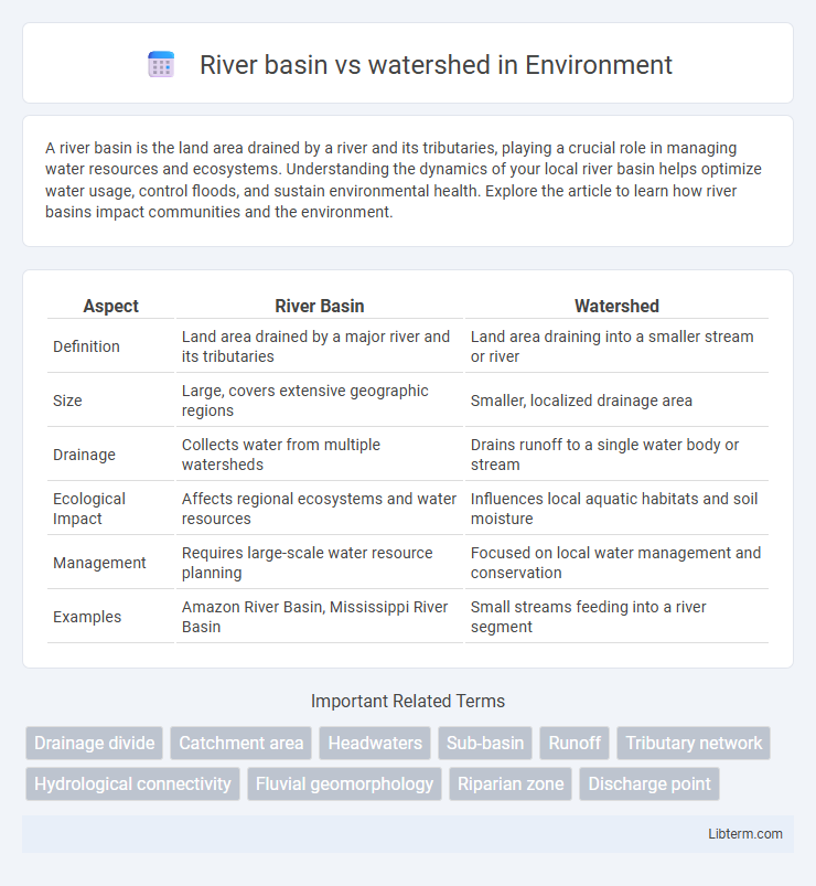 watershed vs River basin in Environment - What is The Difference?