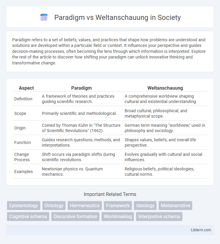 Weltanschauung vs Paradigm in Society - What is The Difference?