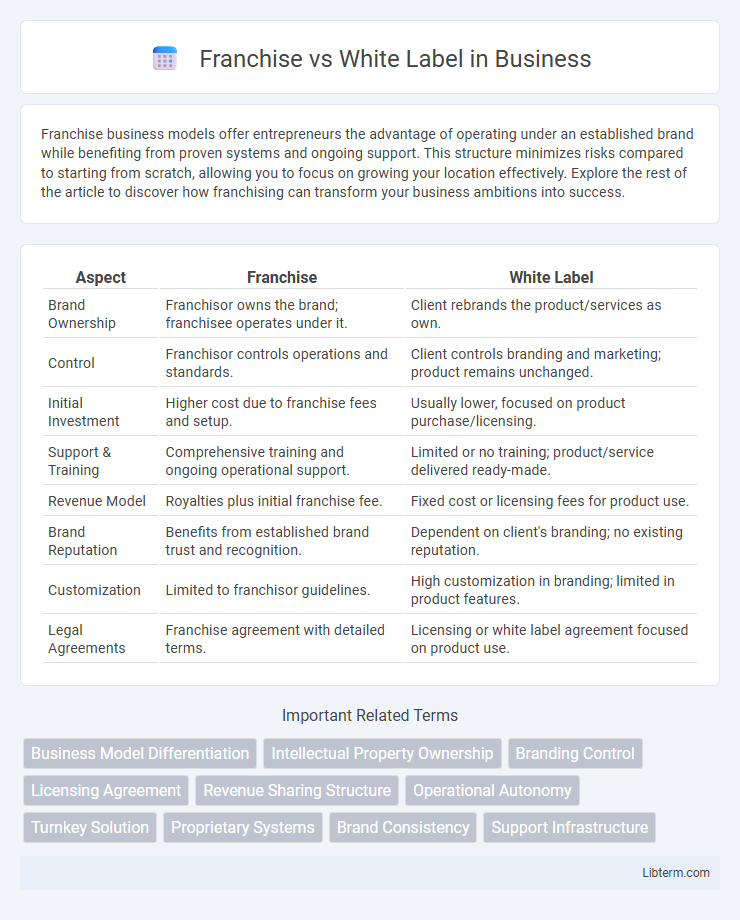 White Label vs Franchise in Business - What is The Difference?