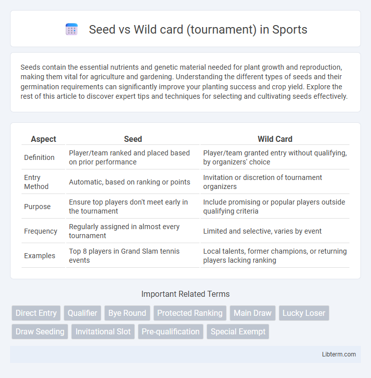 Wild card (tournament) vs Seed in Sports - What is The Difference?