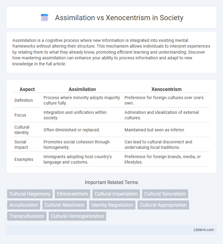 Xenocentrism vs Assimilation in Society - What is The Difference?