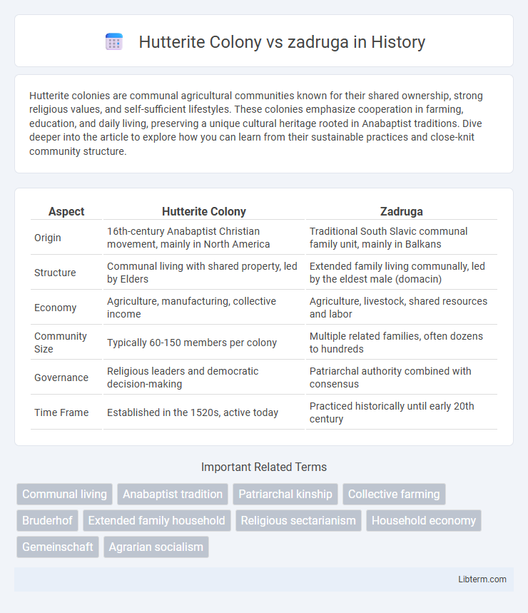zadruga vs Hutterite Colony in History - What is The Difference?