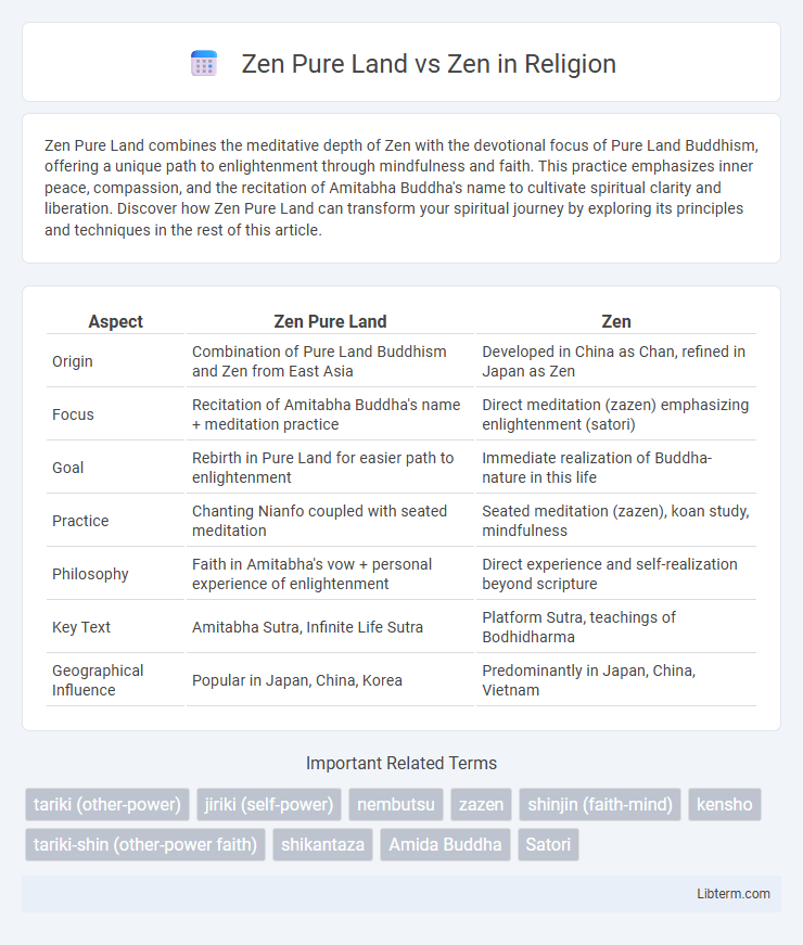 Zen vs Zen Pure Land in Religion - What is The Difference?
