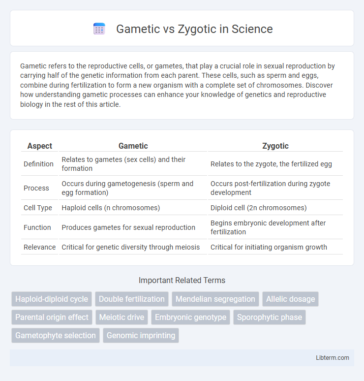 Zygotic vs Gametic in Science - What is The Difference?